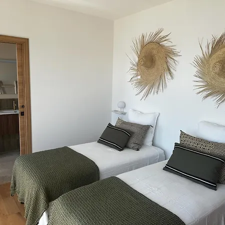 Magnifique 6 Avec Piscine,olmeto *