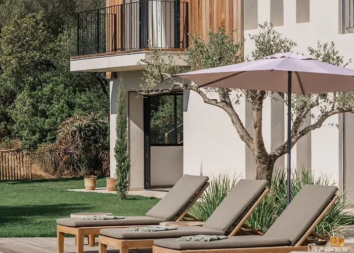 Magnifique 6 Avec Piscine,olmeto *