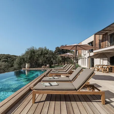 Magnifique 6 Avec Piscine,olmeto *