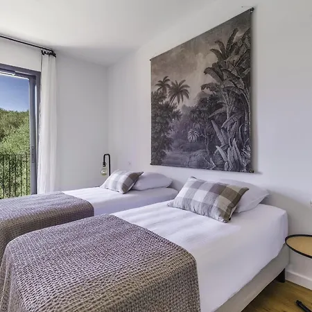 Magnifique 6 Avec Piscine,olmeto *