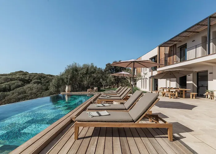 Magnifique 6 Avec Piscine,olmeto *