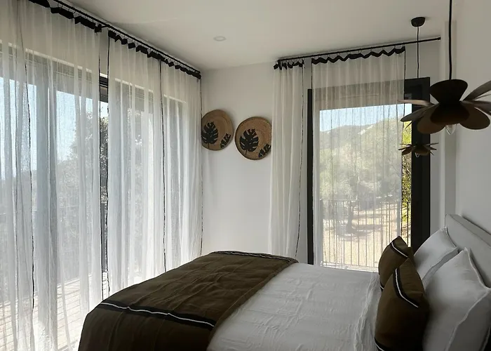 Magnifique 6 Avec Piscine,olmeto